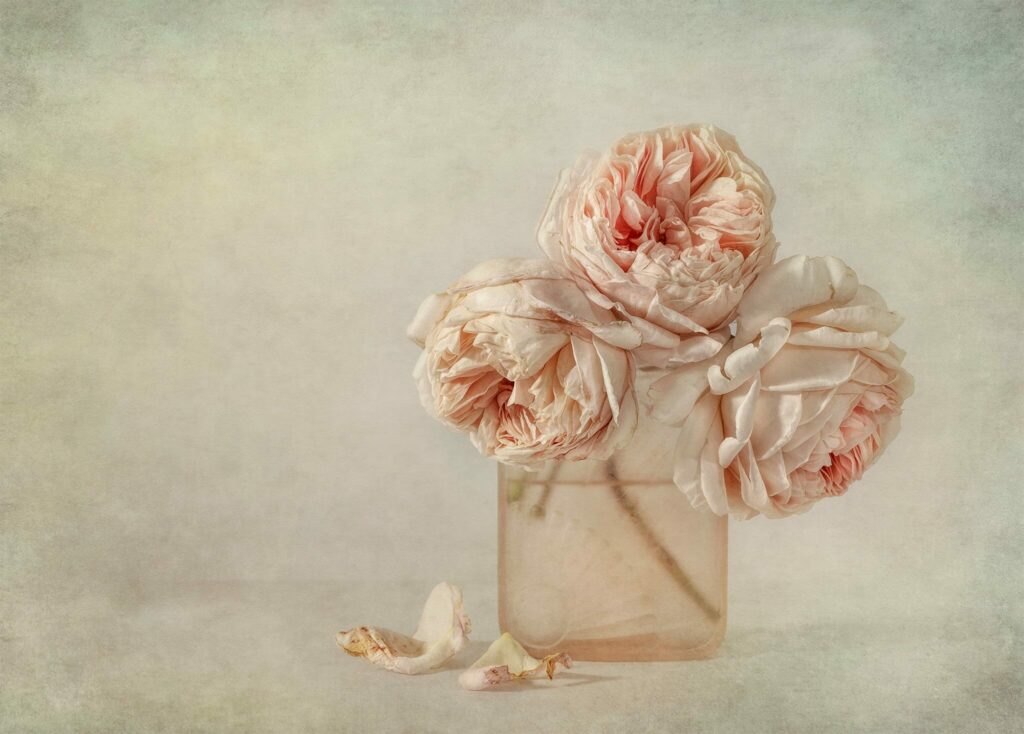 flowers in a vase image