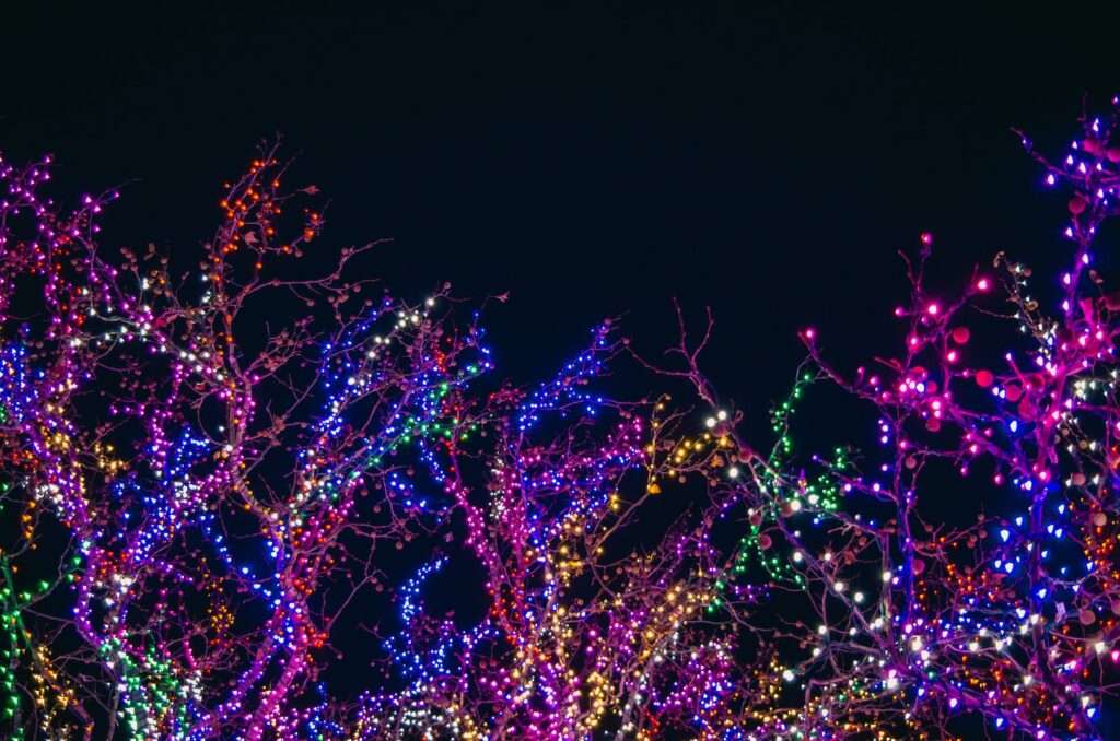 assorted color string lights
